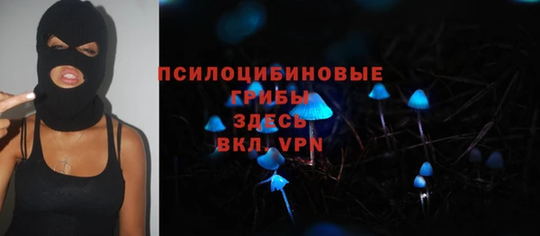 спайс Богородск