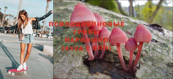 спайс Богородск