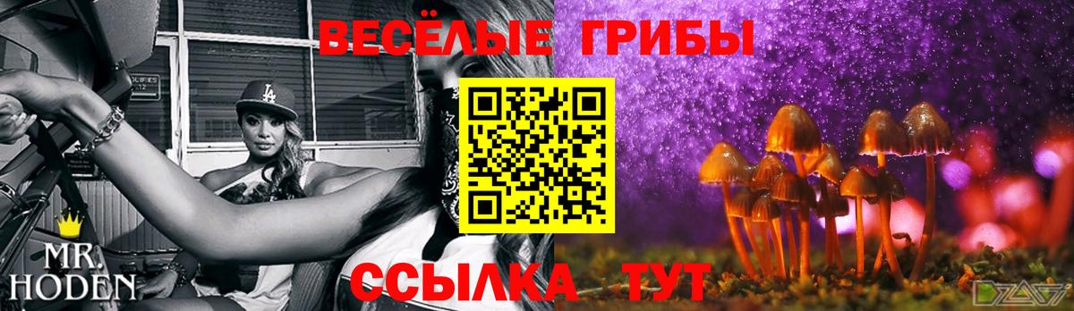 Галлюциногенные грибы Psilocybine cubensis  Вход с VPN  Верхний Уфалей 